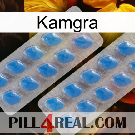 Kamgra 23